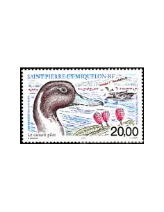 timbre de ST PIERRE ET MIQUELON PA n° 79, Canard, collection Dom-Tom