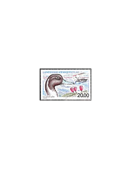 timbre de ST PIERRE ET MIQUELON PA n° 79, Canard, collection Dom-Tom