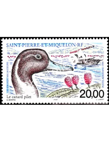 timbre de ST PIERRE ET MIQUELON PA n° 79, Canard, collection Dom-Tom