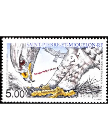 timbre de SAINT PIERRE ET MIQUELON PA n° 80, Buse, collection Dom-Tom