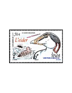 timbre de ST PIERRE ET MIQUELON - PA n° 87 - Thématique : Oiseaux