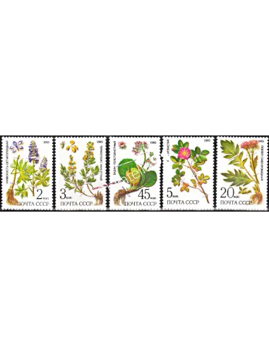 Timbres de Russie n° 5232 à 5236 - Thématique flore.Plantes médicinales