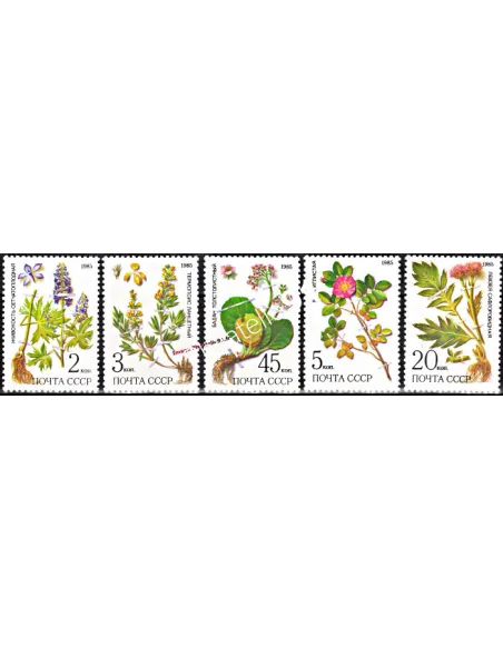 Timbres de Russie n° 5232 à 5236 - Thématique flore.Plantes médicinales