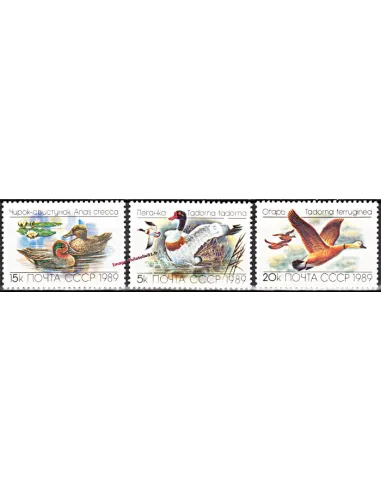 Timbres neufs de Russie n° 5641 à 5643 - Thématique canard