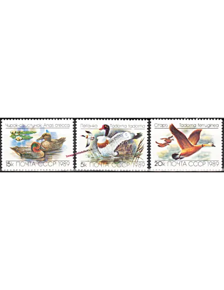 Timbres neufs de Russie n° 5641 à 5643 - Thématique canard