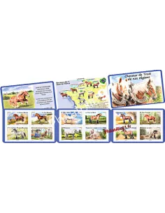 Carnet de timbres autoadhésifs n° 813 à 824 (BC813) - Chevaux de trait de nos régions