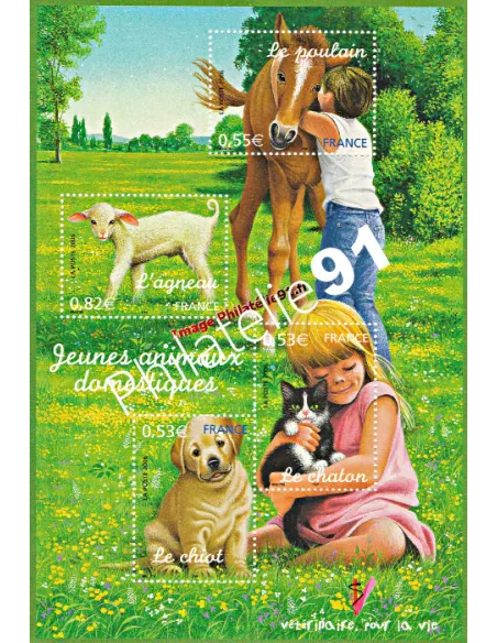 BF   96 - Animaux domestiques - Nature
