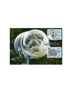 SAINT PIERRE ET MIQUELON - Carte - Phoque à capuchon