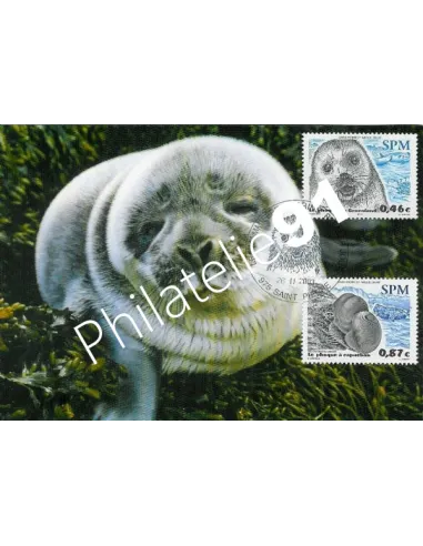 SAINT PIERRE ET MIQUELON - Carte - Phoque à capuchon