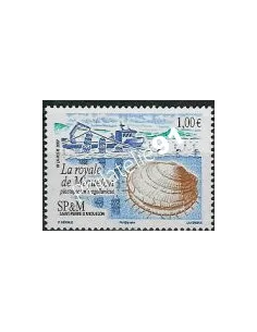 ST PIERRE ET MIQUELON -   n°  884 - COQUILLE