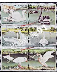 ILE DE MAN - n°  512 à 517 ** - Races de cygnes