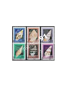 Timbre de Guinée - n° 1255 CS à 1255 CX - COQUILLAGES