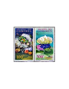 timbres des COMORES PA n°  5 et 6 - Faune et Flore marines, timbres des colonies françaises