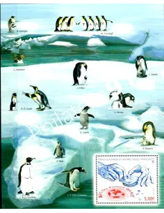Timbres TAAF F682, manchots des TAAF, timbre gravé, timbres DOM TOM