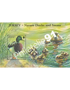 JERSEY - BF n°  53 ** - Canard Colvert