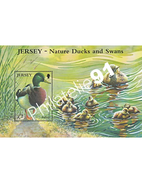JERSEY - BF n°  53 ** - Canard Colvert