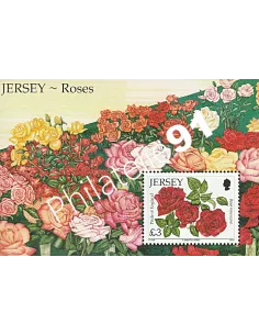 JERSEY - BF n° 105 ** - Roses "Pride of England"