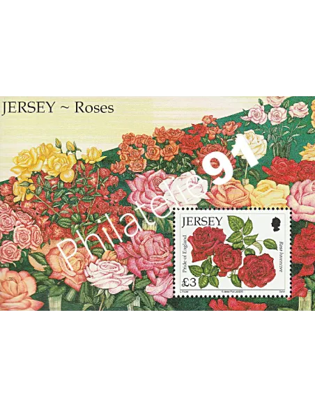 JERSEY - BF n° 105 ** - Roses "Pride of England"