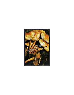 Bloc feuillet oblitéré de GUYANA -  ANNEE 1990 - TP n° 2358 - CHAMPIGNONS