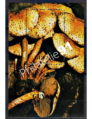 Bloc feuillet oblitéré de GUYANA -  ANNEE 1990 - TP n° 2358 - CHAMPIGNONS
