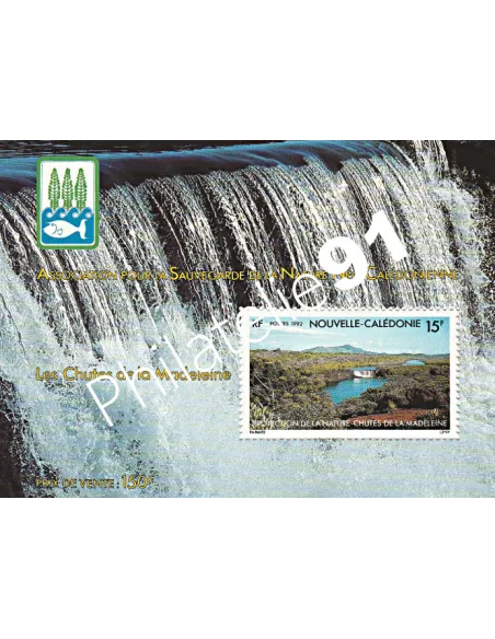 NOUVELLE CALEDONIE - BF n° 13  - Collection timbre Dom-Tom