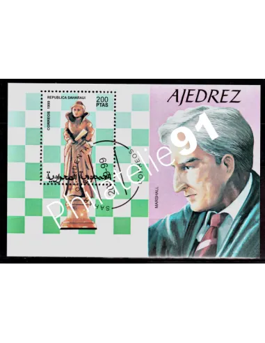 SAHARA -  ANNEE 1999 - ECHECS