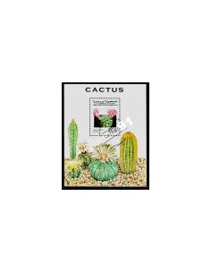 SAHARA - BF ANNEE 1997 - CACTUS
