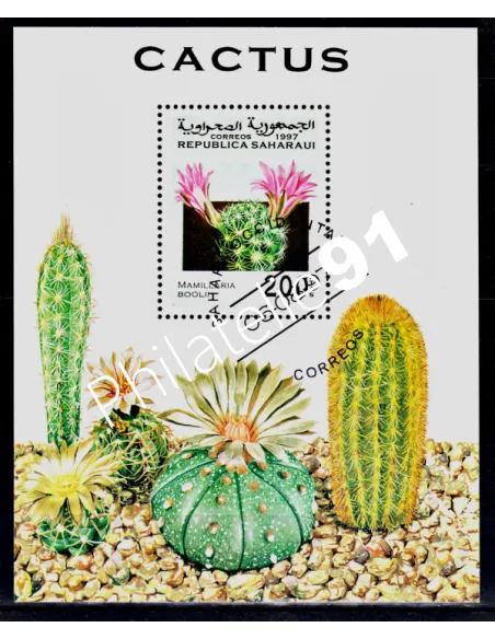 SAHARA - BF ANNEE 1997 - CACTUS