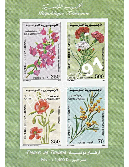 TUNISIE - Bloc n° 27C - collection timbres Colonies