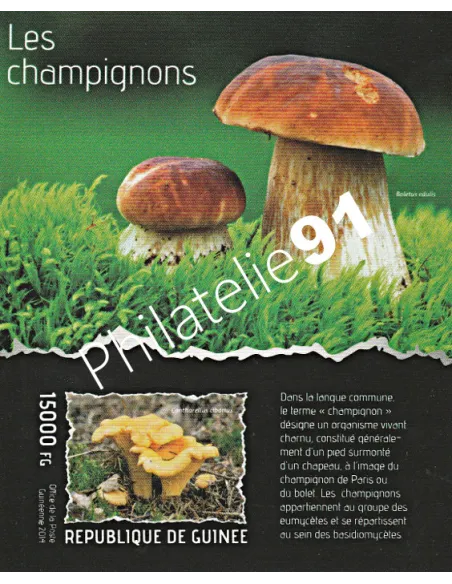 Guinée - Bloc-Feuillet Non Dentelé - Collection timbre Afrique