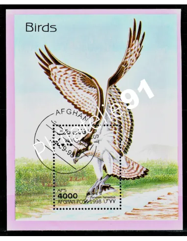 AFGHANISTAN -  BF ANNEE 1998 - RAPACES