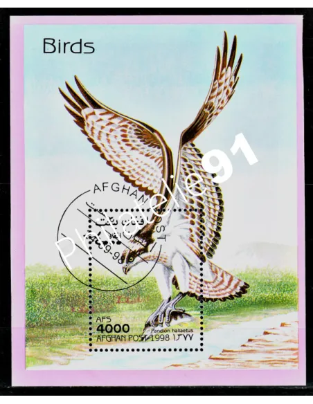 AFGHANISTAN -  BF ANNEE 1998 - RAPACES