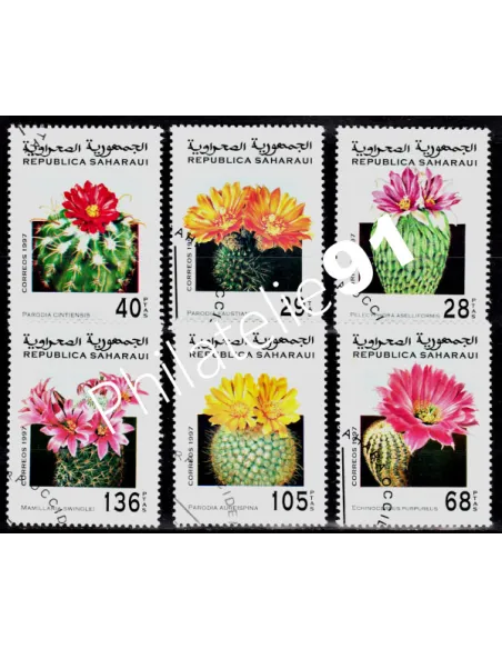 SAHARA - SERIE  ANNEE 1997 - CACTUS