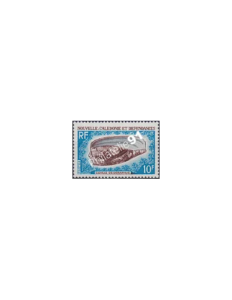 NOUVELLE CALEDONIE, n° 354, coqillage, collection timbres Dom-Tom