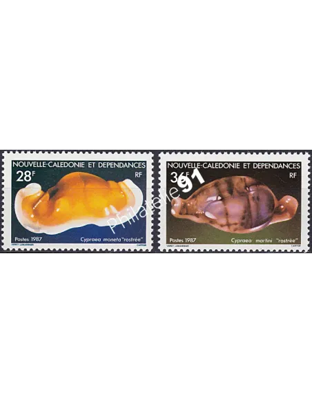 NOUVELLE CALEDONIE, n° 538 à 539, Coquillages, timbres Dom-Tom