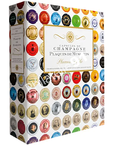 LEUCHTTURM,Album GrandeChamp,COMPART 42,Matériel toutes collections