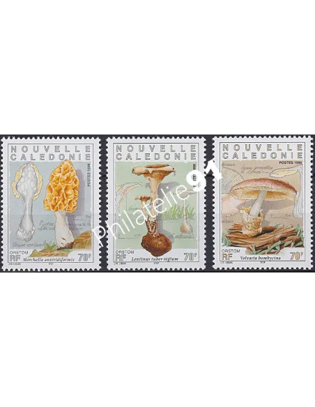 NOUVELLE CALEDONIE, n° 749 à 751, champignons, timbres Dom-Tom