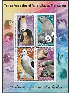 TAAF - BF n°  8** - Faune antarctique