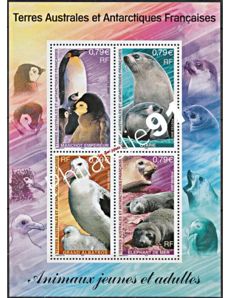 TAAF - BF n°  8** - Faune antarctique