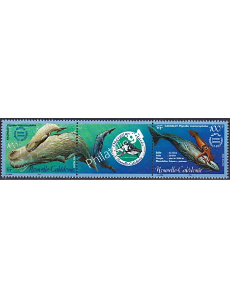 NOUVELLE CALEDONIE, n° 876 à 877, collection timbres Dom-Tom