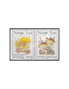 Norvège, n° 966a, timbres en Paire, Collection timbres Europe