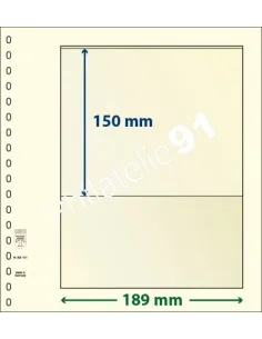 LINDNER, Feuilles neutres LINDNER-T, 1 Bande, Matériel philatélique
