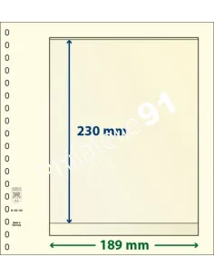 LINDNER, Feuilles neutres LINDNER-T, 1 Bande, Matériel philatélique
