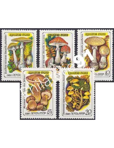 Russie, Lot de timbres champignons, collection timbres Thématiques