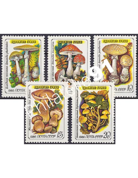 Russie, Lot de timbres champignons, collection timbres Thématiques