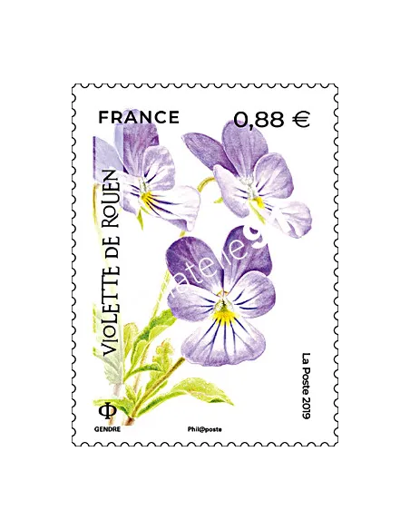 Timbre n° 5321, Violette de Rouen, collection timbres France