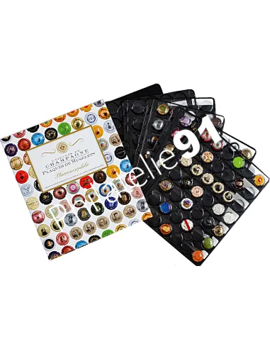 LEUCHTTURM,Album GrandeChamp,COMPART 42,Matériel toutes collections