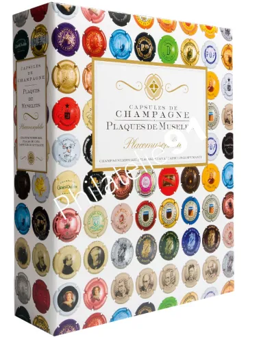 LEUCHTTURM,Album GrandeChamp,COMPART 42,Matériel toutes collections