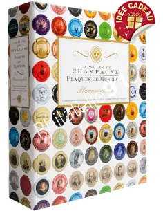 LEUCHTTURM,Album GrandeChamp,COMPART 42,Matériel toutes collections