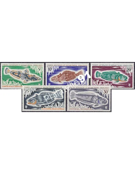 TAAF, n°  34 à 38, Poissons, collection timbres Dom-Tom